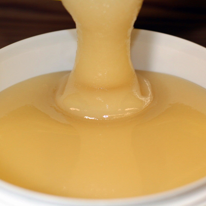 Frühtrachthonig mit Rapsblüten - Blütenhonig aus Deutschland Blütenhonig Mishas Honey - Imkerei