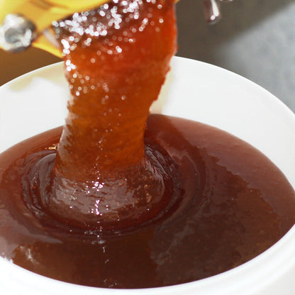 Eukalyptushonig dunkelbraun cremig — Waldhonig aus Uruguay naturbelassen — Mishas Honey