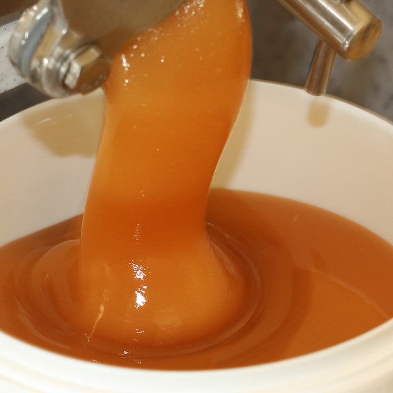 Fenchelhonig bernsteinfarben cremig fliessend — seltener Bluetenhonig vom Imker — Mishas Honey