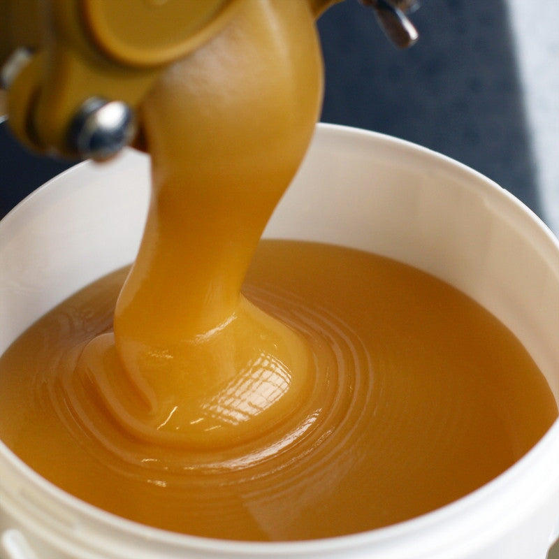 Himbeerhonig hellbeige cremig — fruchtig-aromatischer Waldblutenhonig — Mishas Honey
