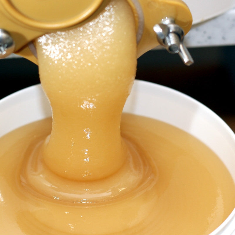 Lavendelhonig hellgold cremig — naturbelassen aus der Provence — Mishas Honey