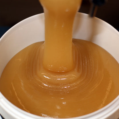 Sommertrachthonig bernsteinfarben cremig fliessend — naturbelassen vom Imker — Mishas Honey