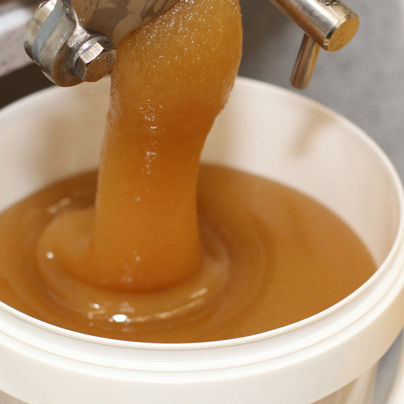Waldbluetenhonig goldbraun fluessig — naturbelassen vom Imker — Mishas Honey Imkerei