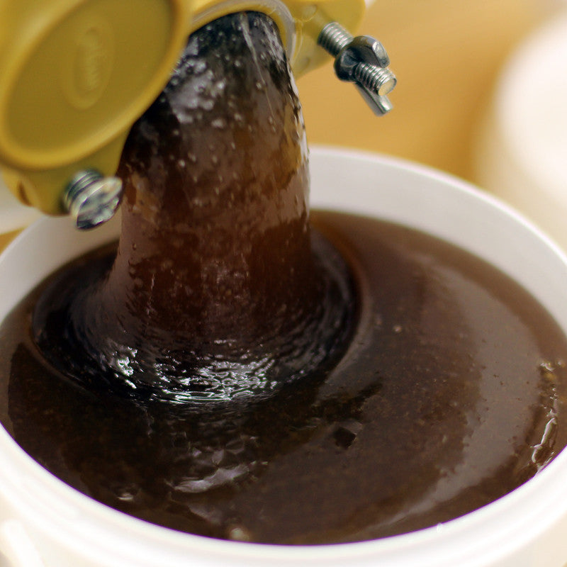 Weisstannenhonig dunkelbraun zaehfluessig — Honigtauhonig naturbelassen — Mishas Honey